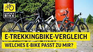 Kaufberatung ETrekkingbike  Welches EBike passt zu mir [upl. by Alesi]