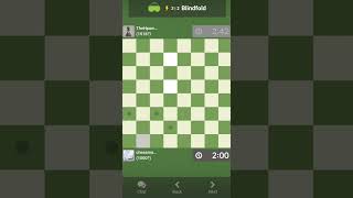 Insane form of Chess  Must try at least Once  Blindfold Chess 1  Chess Variant chess [upl. by Owiat]