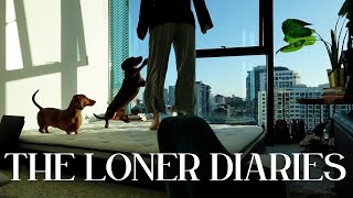 SILENT VLOG rejection is redirection INFJ loner diaries [upl. by Olrac]