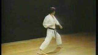 Heian Shodan  Shotokan Karate [upl. by Magena]