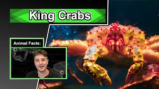 The deadliest catch wont teach you this  10 COOL KING CRAB FACTS [upl. by Nitsua]