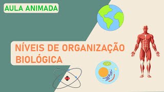 Níveis de organização biológica  Aula animada 02 Ensino Médio [upl. by Nyrrat782]