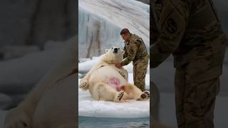 A soldier rescues a trapped pregnant polar bear enabling her to safely give birth polarbear [upl. by Ioj428]