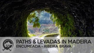 Best Levada Walk in Madeira Dangerous Encumeada  Ribeira Brava [upl. by Malek]