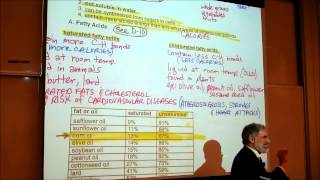 BIOLOGICAL CHEMISTRISTY PART 2 POLYSACCHARIDES amp FATTY ACIDS by Professor Fink [upl. by Nwahsd432]