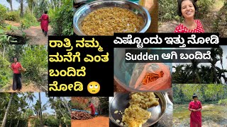 ರಾತ್ರಿ ನಮ್ಮ ಮನೆಗೆ ಎಂತ ಬಂದಿದೆ ನೋಡಿ🙄ಎಷ್ಟೊಂದು ಇತ್ತು ನೋಡಿSudden ಆಗಿ ಬಂದಿದೆKannada vlogs [upl. by Mosby]