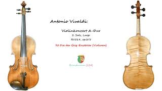 Antonio Vivaldi 2Satz Largo Violinkonzert ADur RV519 op 53 [upl. by Nelleyram24]