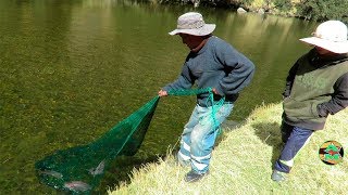 GRAN PESCA DE TRUCHAS EN RIÓ  Pescando Truchas GRANDES con Atarraya [upl. by Derraj]