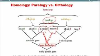 Topic 218 BIF401  Bioinformatics I [upl. by Noxin]