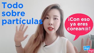 Todo lo que necesitan saber sobre las partículas coreanas 은는에에서을를 clase 11 [upl. by Alledi]