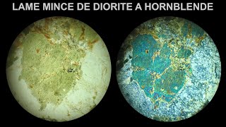 Diorite dAydat à hornblende verte  Immersion 360°  LPnA vs LPA x40 [upl. by Nahk]