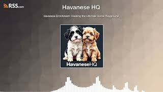 Havanese Enrichment Creating the Ultimate Home Playground [upl. by Joelly122]