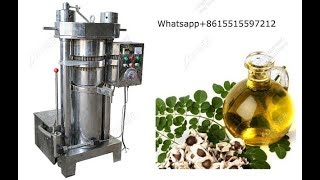 Hydraulic Moringa Oil Extraction and Making Machine With Cold Press [upl. by Hanikahs]