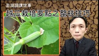 台語版越瓜整技的技巧 [upl. by Routh]