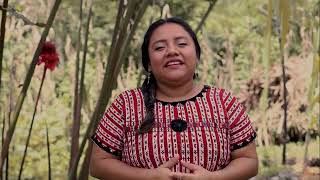 Tres preguntas a Neydi Juracán joven lideresa maya kaqchiquel CCDA Guatemala [upl. by Arymas]