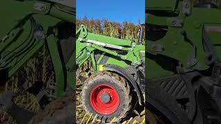 Fendt 311 Compact mit Cargo 4X 75 Frontlader🚜🔝 [upl. by Anohsal]