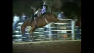 Rockin B Bareback ride wreck Taralga Rodeo 2014 [upl. by Nashoma383]