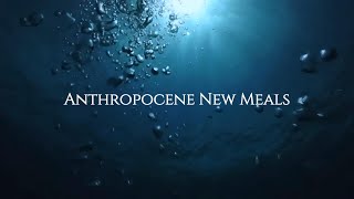 Anthropocene New Meals [upl. by Nuarb]