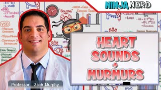 Heart Sounds amp Murmurs  Clinical Medicine [upl. by Tegan]