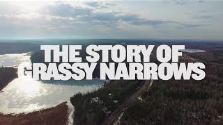 The Story of Grassy Narrows [upl. by Puritan670]