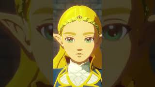 TERRAKO nintendo zelda gameplay videogames games game foryou funny shorts viral fyp [upl. by Damales722]