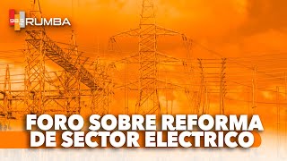 FORO SOBRE REFORMA DEL SECTOR ELÉCTRICO  RICHARD MEDINA [upl. by Ebbarta146]