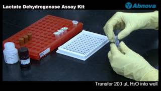 Lactate Dehydrogenase Assay Kit [upl. by Yecaw]