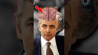 MR BEAN CÓ THỰC SỰ NGỐC  😨 Bạn Biết Không facts amzingfacts thaukinhtrithuc [upl. by Ilek116]