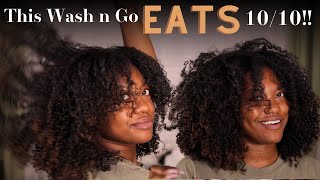 10 Out Of 10 My Updated Wash N Go Routine [upl. by Sevart]