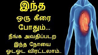 Punarnava Benefits Uses Dosage and Side Effects in Tamil  Rahul Health tips in Tamil [upl. by Nnywg]