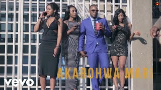 Stunner  Akarohwa Mari Official Video ft Ba Shupi DJ Towers [upl. by Ynney]