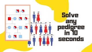 Pedigree Analysis in 4 simple steps  Less Than 10 seconds biology crack [upl. by Kcirde]