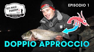 Pesca a BOLOGNESE SPIGOLE con doppio approccio 🦐 amp 🐛  SEA BOLO Passion S4E1 trabuccofishing [upl. by Haym]