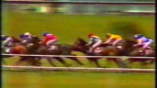 La Mer NZ 1978 Manawatu Challenge Stakes [upl. by Ury]