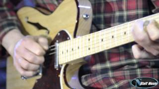 Fender American Deluxe Telecaster Thinline [upl. by Aleedis]