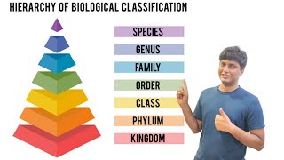 What is Taxonomic Heirarchy [upl. by Anoved]