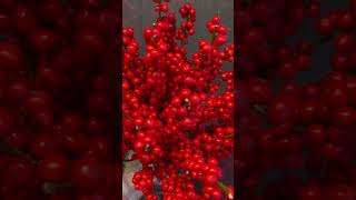 Red Ilex IlexRedIlex HollyWinterBerries FestiveDecorThanksgivingGratitude ThanksgivingDinner [upl. by Peters]