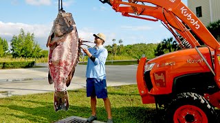 How to Clean and Cook a 300lb Grouper [upl. by Manvil]