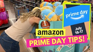 Amazon Seller Tips for Prime Day 2024 [upl. by Noyek]