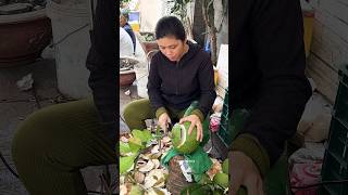 Vietnamese Woman Selling Tropical Fruit Pomelos  Fruit Cutting Skills [upl. by Layne136]