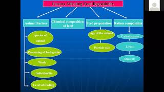 Factors affecting feed digestibility by Dr Sanjay Kumar ANN BVC Patna [upl. by Oeram665]