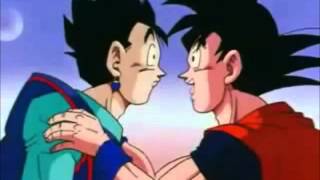 Goku ofrece a videl y a bulma Audio Latino wmv [upl. by Sennahoj148]