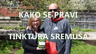 Kako se pravi tinktura sremuša i namjene Vedran i Mira Hasanagić doktori alternativne medicine [upl. by Knobloch]