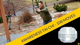 108 Move Tai Chi Set Taught To Me By Mr Moy Lin Shin [upl. by Roper542]