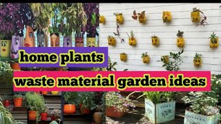 Easy house plants for beginner secret house plant care amp Tip [upl. by Narrat442]