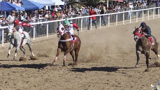 Carreras de Caballos Santa Ana 04 Febrero 2024 [upl. by Afatsom]