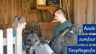 Ausbildung zur Tierpflegerin in der Fachrichtung Zoo  Abheber Ostwestfalen [upl. by Man895]