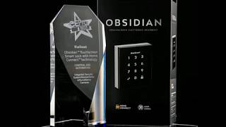 Kwikset Obsidian Smart Zwave Lock  Review [upl. by Kalie]