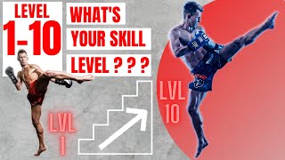 Roundhouse Kick LVL 110  Whats Your Skill  Technique Advice [upl. by Thorlay]