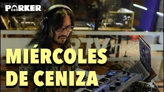 Miércoles de Ceniza Caifanes Cover by Parker Xalapa [upl. by Ecirtal]